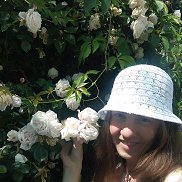 , 37 , -