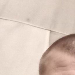 ������, ����, 34 ����