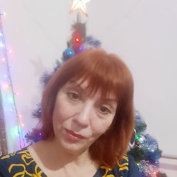 , 58, 