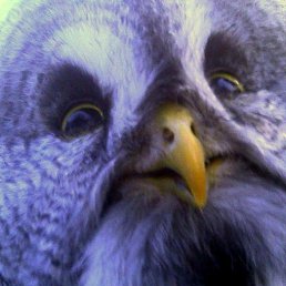 ���� ����, ������, 47 ��� - ��������� 19 ������� 2025