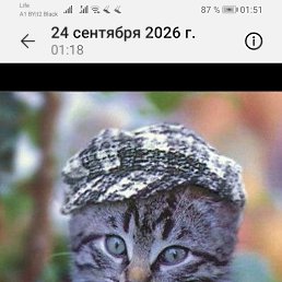 ���� ��������, ���������, 61 ��� - ��������� 28 ������� 2026