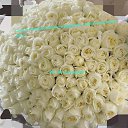  Olushka,  -  11  2025    