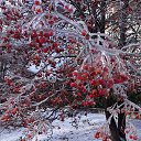 ���� ������, ������, 47 ��� - ��������� 18 ������� 2023 � ������ ���� ����������
