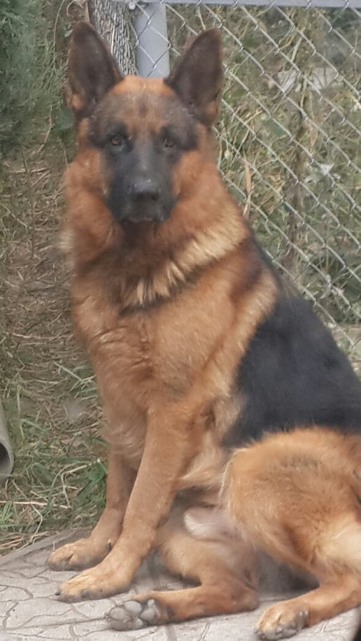 ********  - 12  2025  14:36