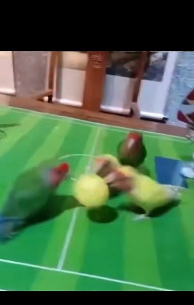 �� �� ����� ������� �������? - 2
