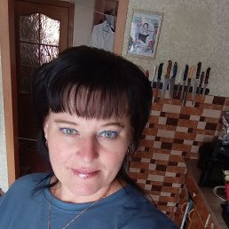 ���� ������, ���������, 42 ���� - ��������� 7 ����� 2026