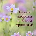 ���� ������, �������� - ��������� 8 ������� 2026 � ������ ������ ��������