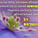 ���� �������, �������, 46 ��� - ��������� 26 ���� 2026 � ������ ������ ��������