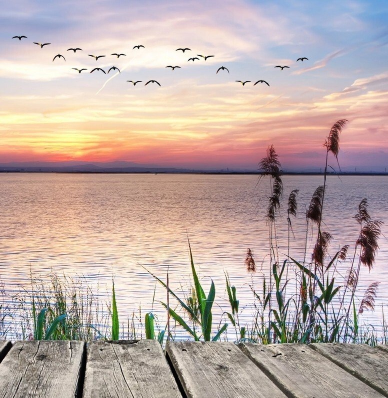 �� ����� ���, ��� �� ������. ���������� ������ ��, ��� ������ �����������. ��� ���������� �������. � ...