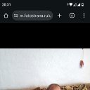 ���� �������, ���������, 59 ��� - ��������� 6 ���� 2026 � ������ ���� ����������