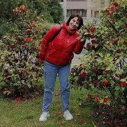 �����, ����, 54 ����