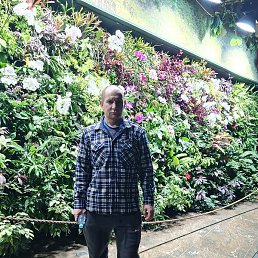 ������, ��������, 36 ���