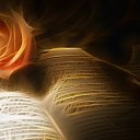 ���� L, ��������� - ��������� 13 ���� 2025 � ������ ������ ��������