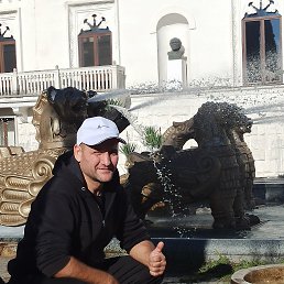 ���������, 46 ���, �����������