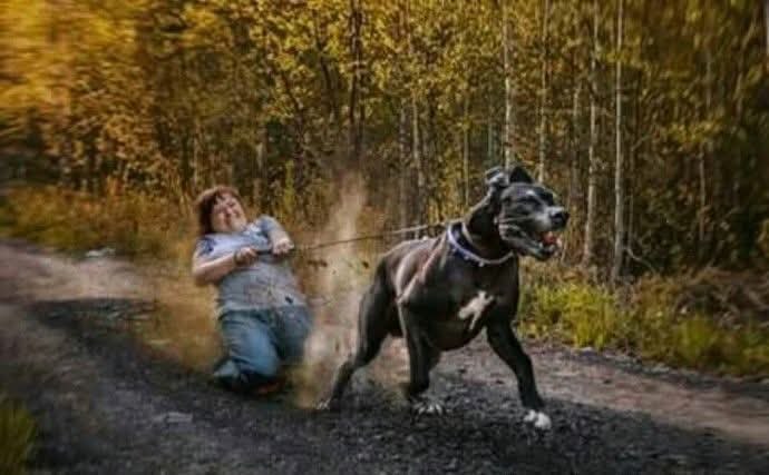   : -   : ,   ,   , ...