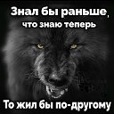 ���� ����, ��������, 41 ��� - ��������� 29 ������ 2024 � ������ ���� ����������