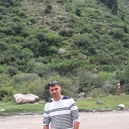 , 32, 