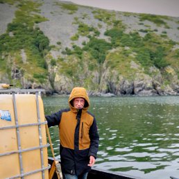 ������, 51 ���, �������