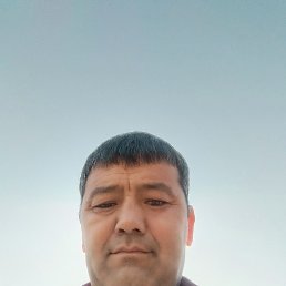 , 41, 