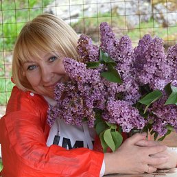 �����, ������, 53 ����