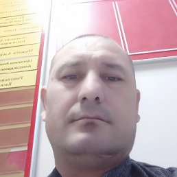 ������, �������, 43 ����