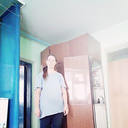 ���� ����, ���������, 42 ���� - ��������� 17 ���� 2026