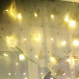 ������, ������, 43 ����