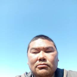 , 37, 