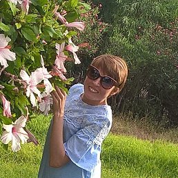 ���������, ������, 39 ���