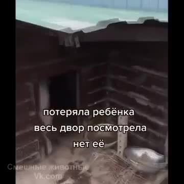 ��� ������ ����� ������ � ������ ����� ������!