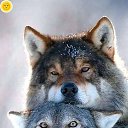 ���� ����, ������, 50 ��� - ��������� 28 ���� 2024 � ������ ���� ����������