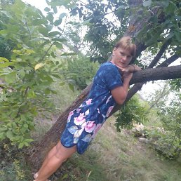 ����� ���������, �����, 37 ���