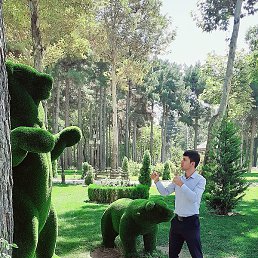 ���, �����������, 18 ���