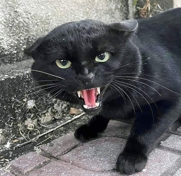 ��� ������... � ���� ����� - 2