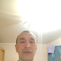 , 37, 