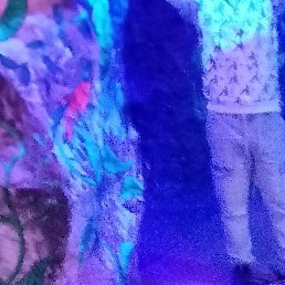 ������, ����, 41 ���