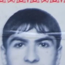 ���� �����, �����, 41 ��� - ��������� 12 ������ 2025