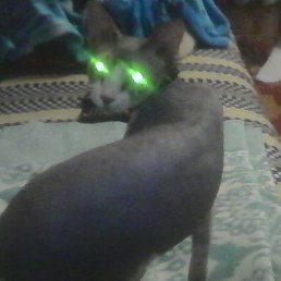 ����, �����, 35 ���