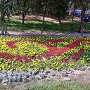 ���� ����, �����������, 47 ��� - ��������� 6 ������ 2024 � ������ ���� ����������