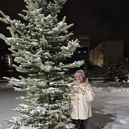 �����, �����������, 62 ����