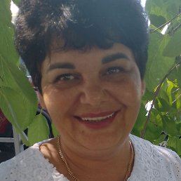 ��������, ���������, 56 ���