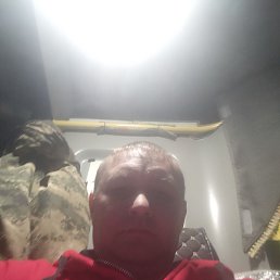 �����, ���������, 41 ���