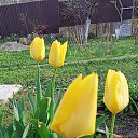 ���� �����, ����������, 35 ��� - ��������� 9 ��� 2024 � ������ ���� ����������