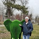 ���� �������..., ���������, 56 ��� - ��������� 18 ���� 2024 � ������ ���� ����������