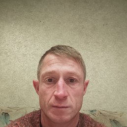 ������, 38 ���, ���������