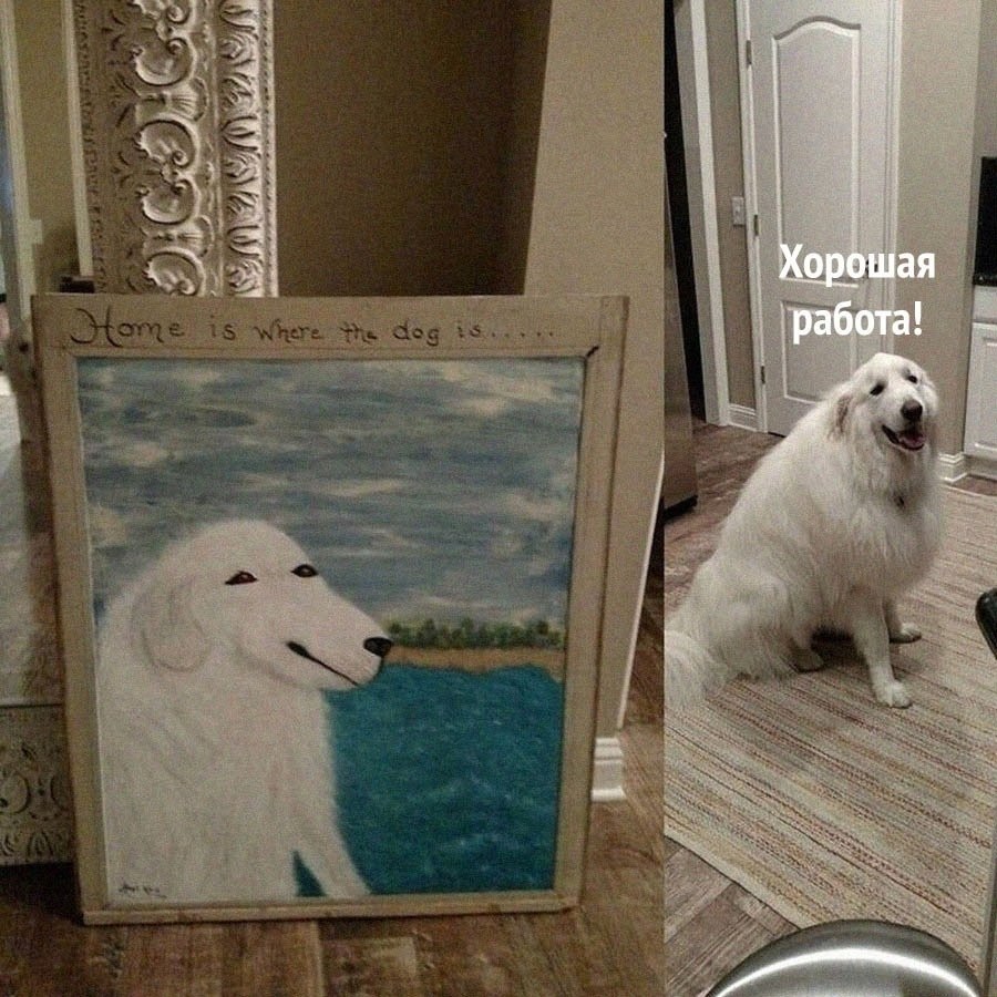 ��������� ��������)