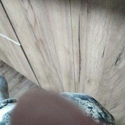 �����, ���, 41 ���
