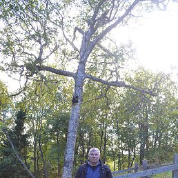 ���������, �������-�����