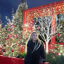 ���� ��������, ������-��-����, 28 ��� - ��������� 8 ������ 2025 � ������ ���� ����������