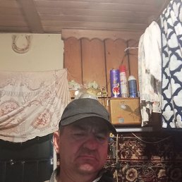 , 53, 